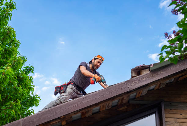 Best Roof Moss and Algae Removal  in Thomaston, NY